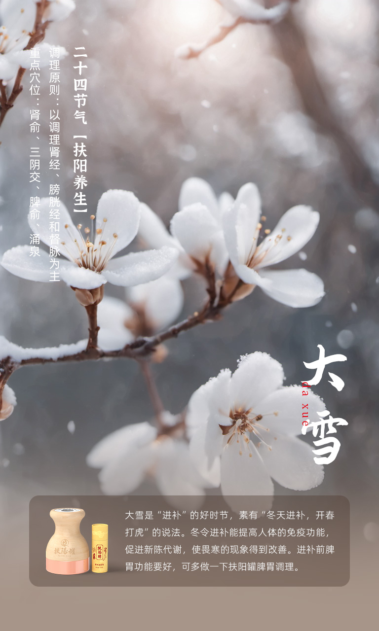 大雪节气 12月06日-08日相关示意图