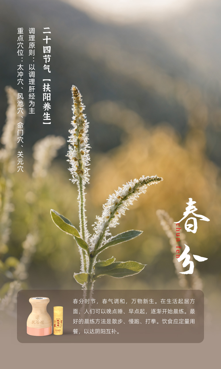 春分节气 03月20日-21日相关示意图