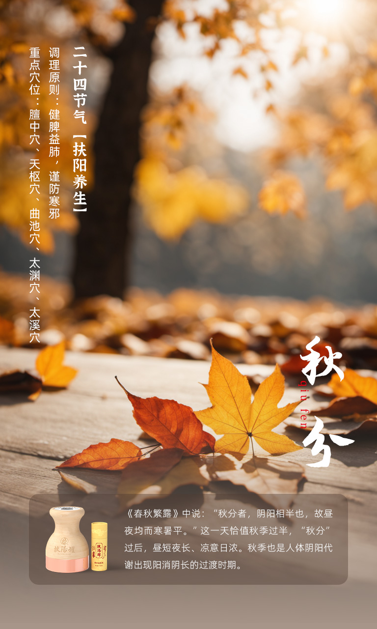 秋分节气 09月22日-24日相关示意图